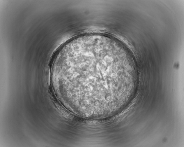 X0000099321219200805231417