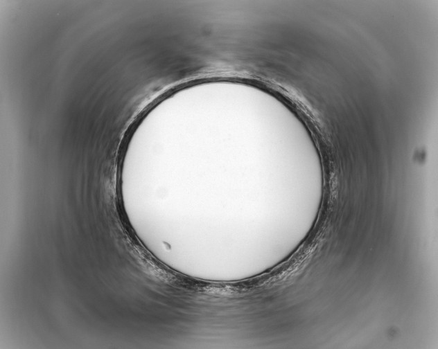 X0000099321220200805231417