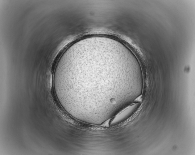 X0000099321221200805231417