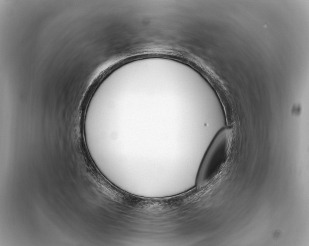 X0000099321222200805231417