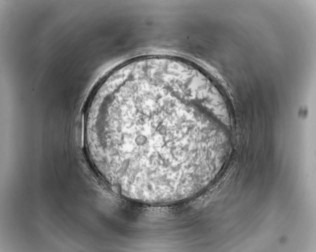 X0000099321223200805231417