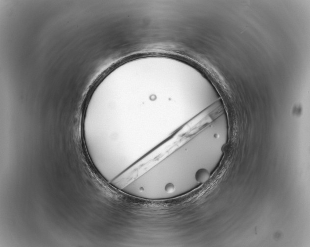 X0000099321224200805231417