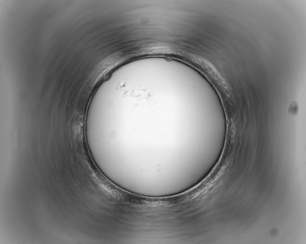 X0000099321225200805231417