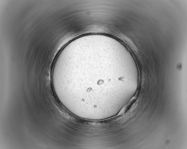 X0000099321226200805231417