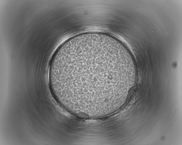 X0000099321227200805231417