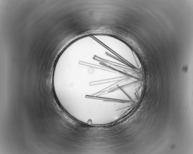 X0000099321228200805231417