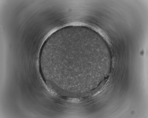 X0000099321229200805231417