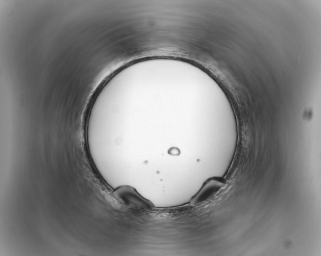 X0000099321230200805231417