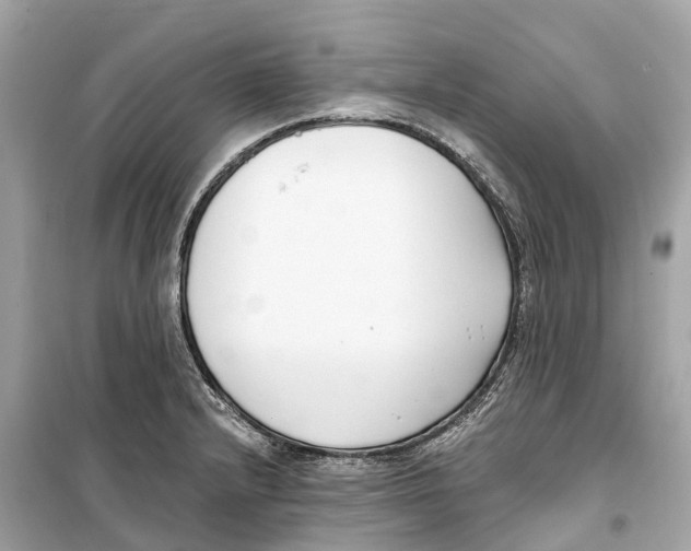 X0000099321232200805231417