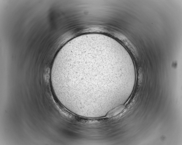 X0000099321233200805231418