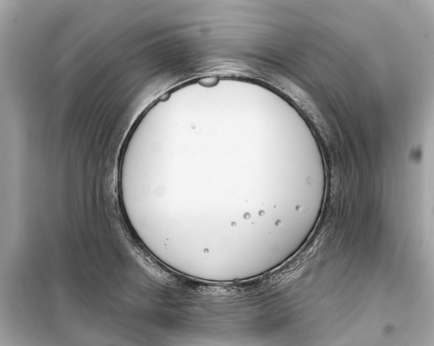 X0000099321234200805231418