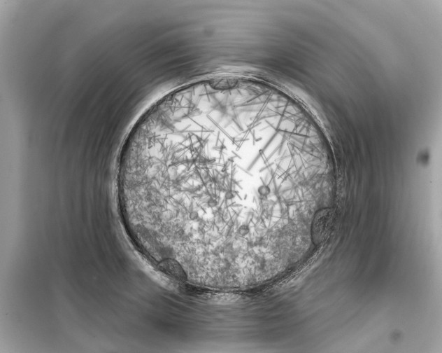 X0000099321235200805231418