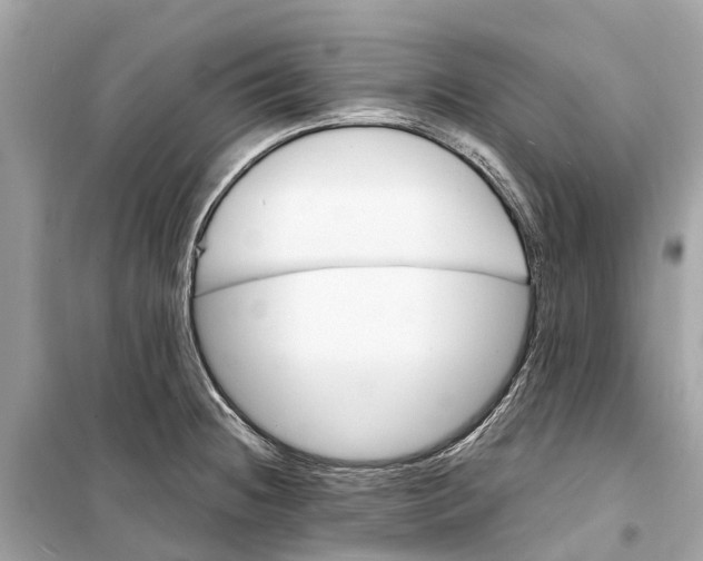 X0000099321236200805231418