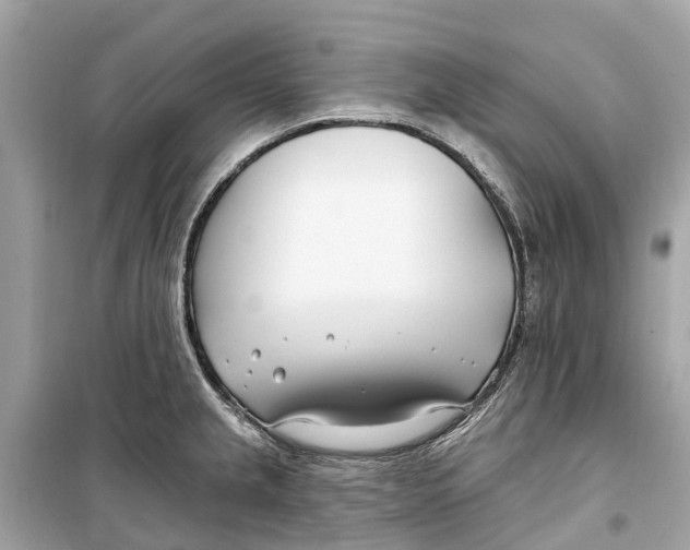 X0000099321237200805231418