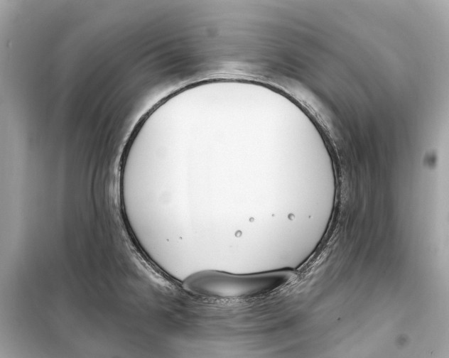 X0000099321238200805231418