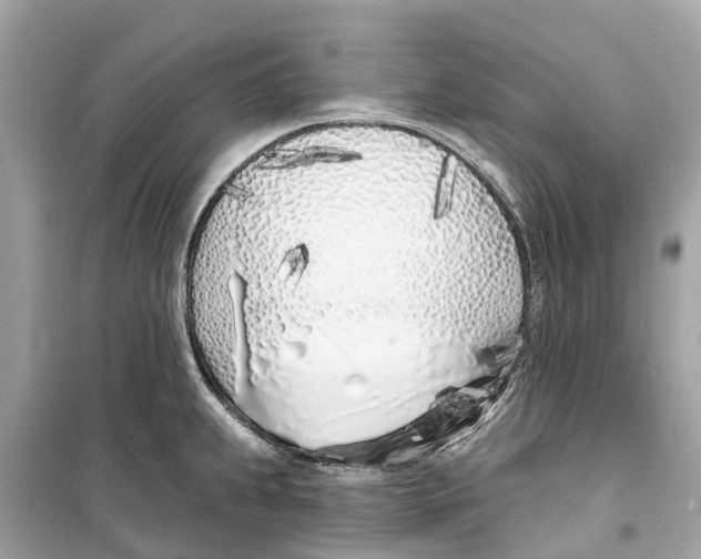 X0000099321239200805231418