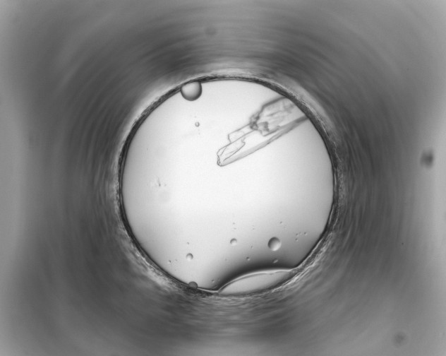 X0000099321240200805231418