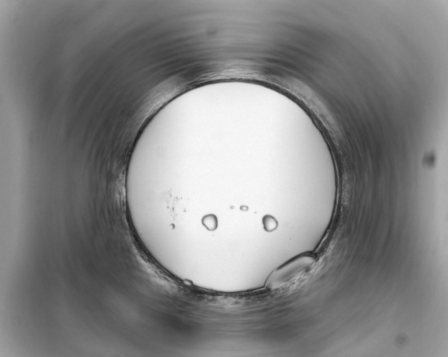 X0000099321241200805231418