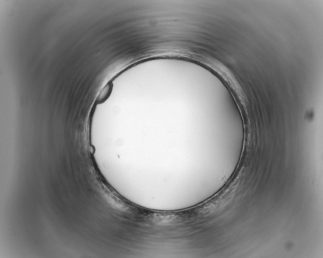 X0000099321242200805231418