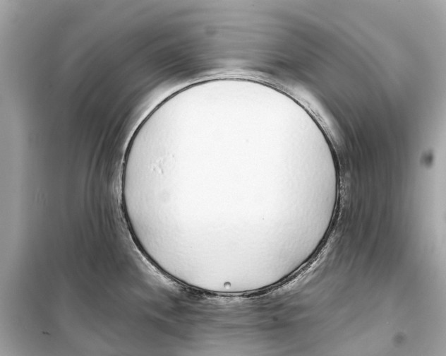 X0000099321244200805231418