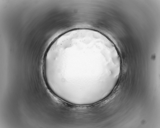 X0000099321245200805231418