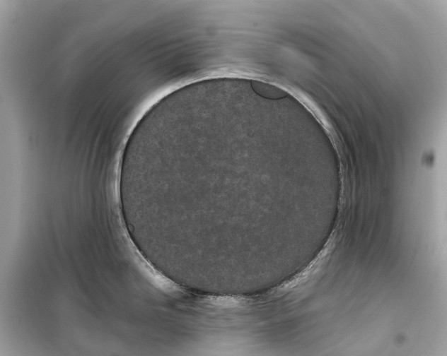 X0000099321246200805231418