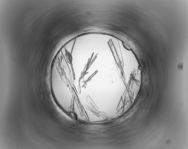 X0000099321247200805231418