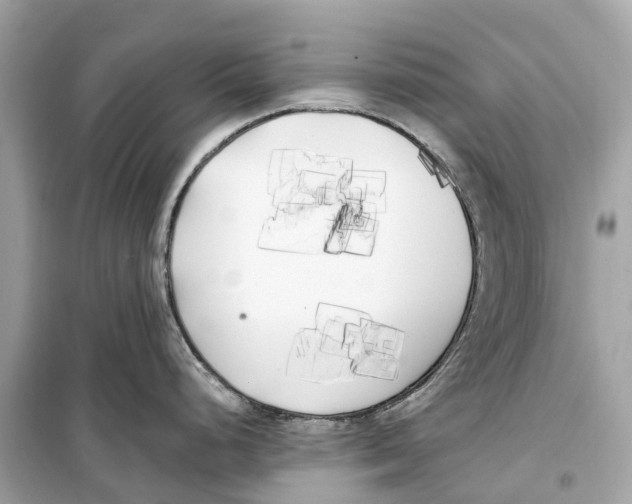 X0000099321248200805231418