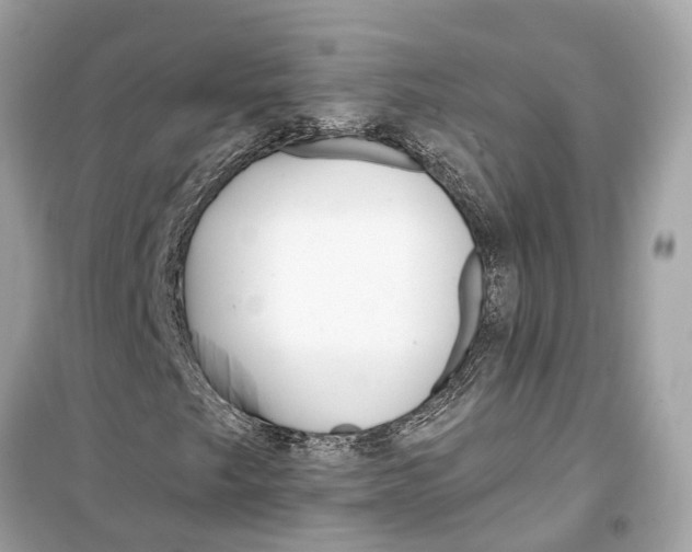 X0000099321249200805231417