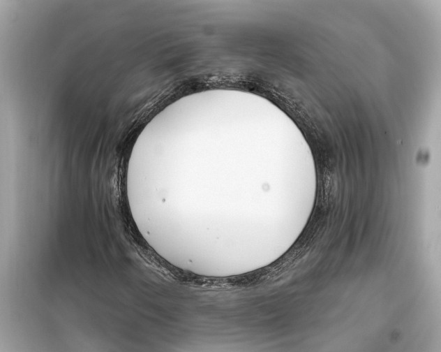 X0000099321250200805231417