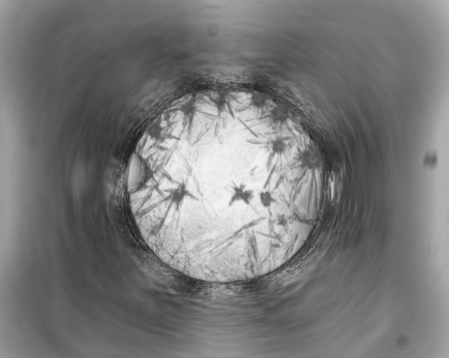 X0000099321251200805231417