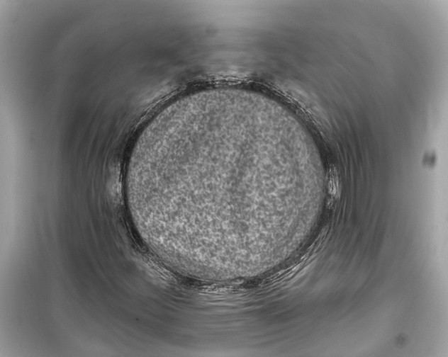 X0000099321252200805231417