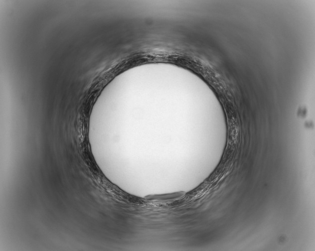 X0000099321253200805231417