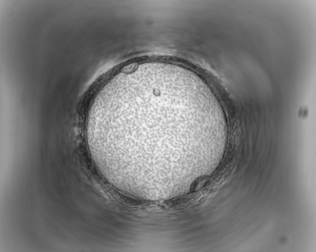 X0000099321255200805231417