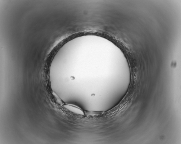 X0000099321256200805231417