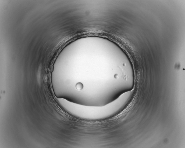 X0000099321257200805231417