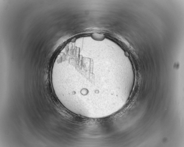 X0000099321259200805231417