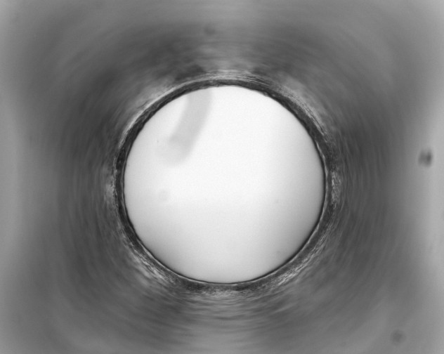 X0000099321260200805231417