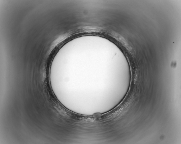 X0000099321261200805231417