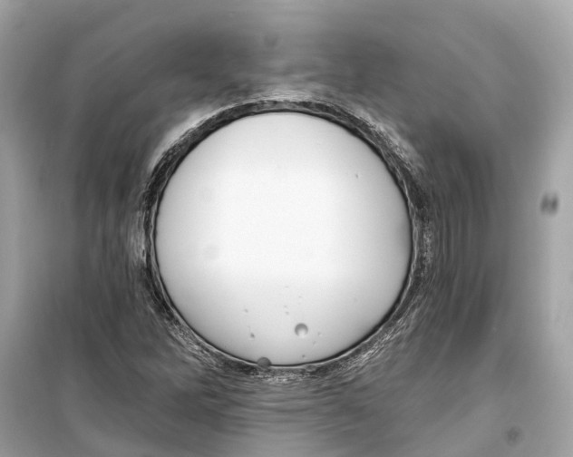 X0000099321262200805231417