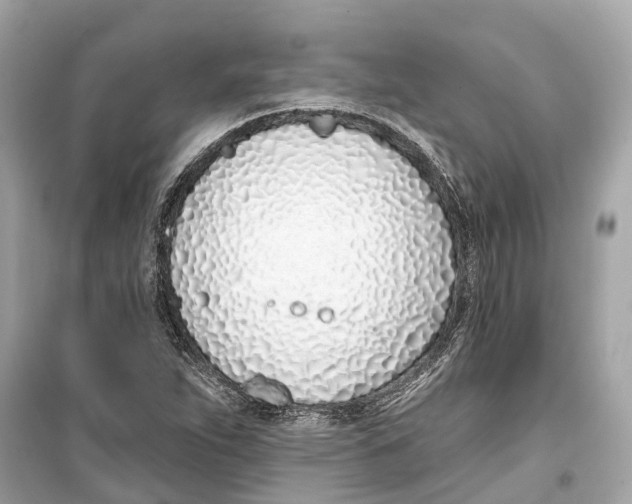 X0000099321263200805231417