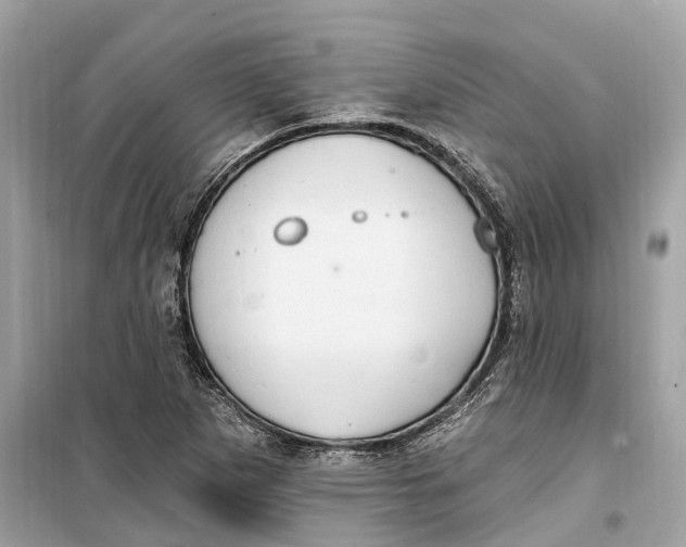 X0000099321265200805231417