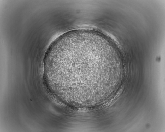 X0000099321267200805231417