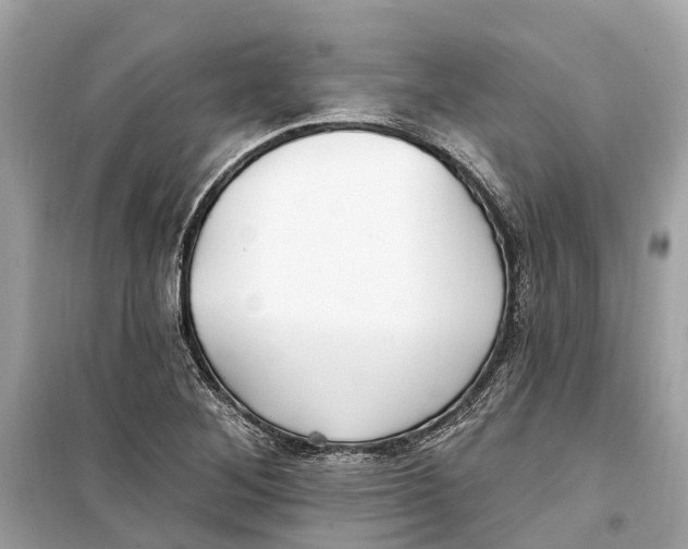 X0000099321268200805231417