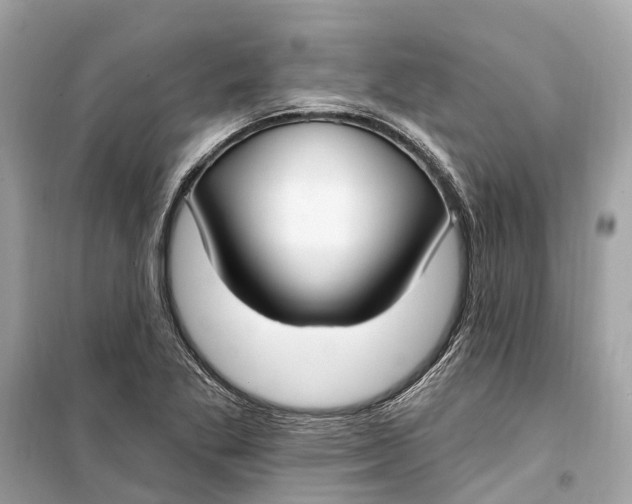 X0000099321269200805231417