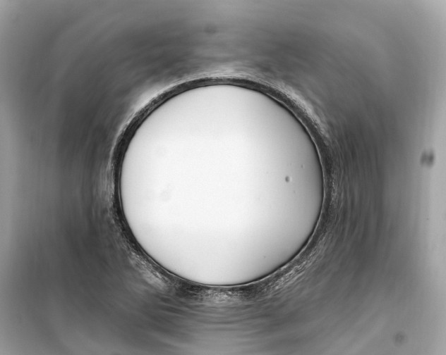 X0000099321270200805231417