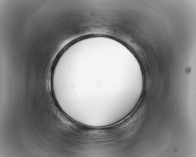 X0000099321272200805231417