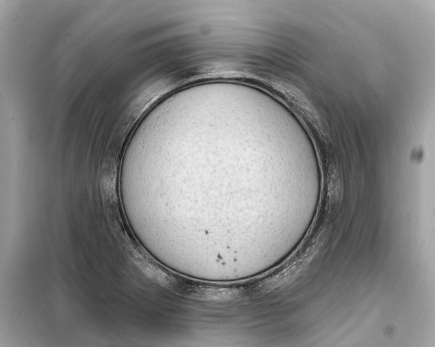 X0000099321273200805231417