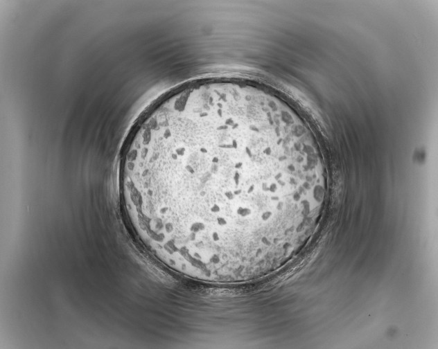 X0000099321275200805231417