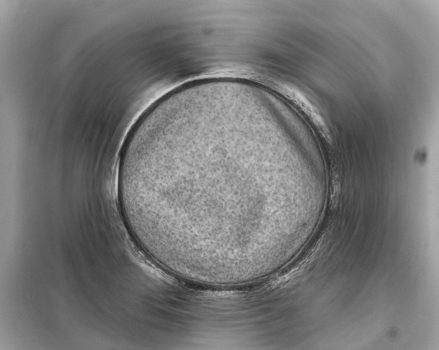 X0000099321276200805231417